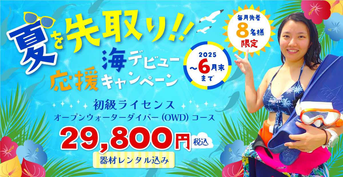 PADIダイビングライセンス取得キャンペーン